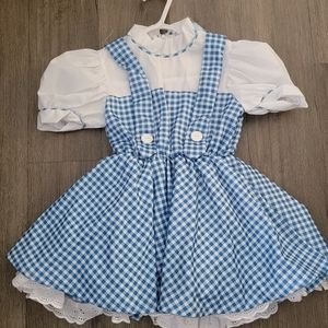 Wizard of Oz Dorothy Costume